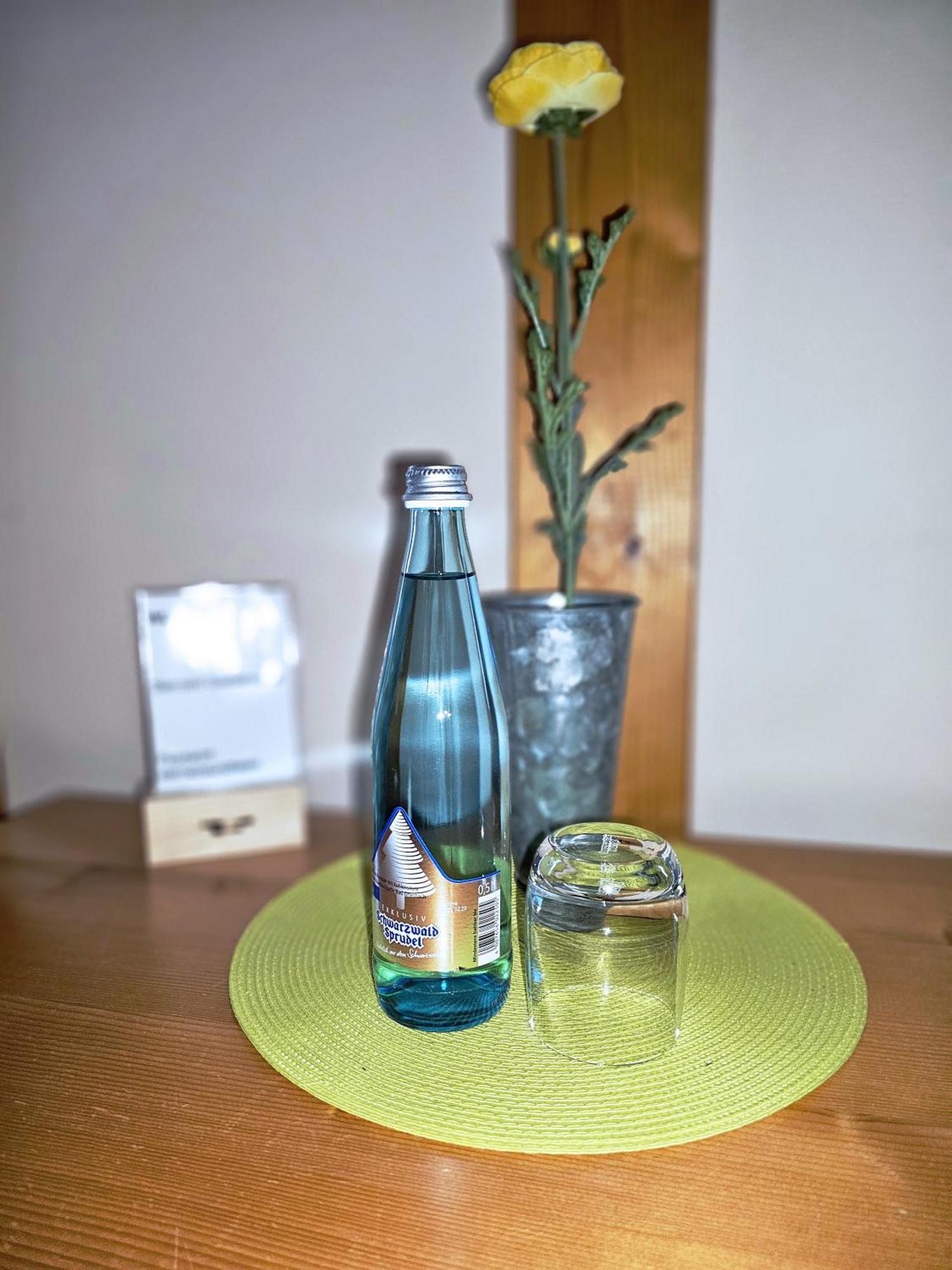 Landgasthaus Sternen 凯尔 外观 照片